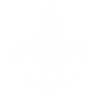 FLEUR DE LIS T Shirt