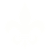 CHEMISE FLEUR DE LIS
