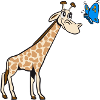 Giraffe butterfly sweet 0c