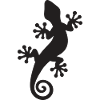 Gecko