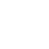 Katze – Evolution