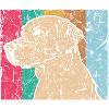 chien
