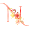 Buchstabe N