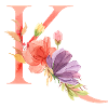 Letter K