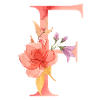 Letter F