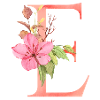 Letter E