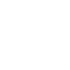 Lotus flower 1