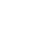 Lotusblume 4