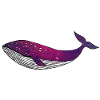 Whale universe starry galaxy