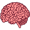 Big Pink Brain