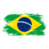 Brazil Flag / Gift South America Brazil