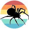 Spinne