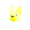 French bulldog