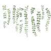 Plant Lady - Fille de jardinage