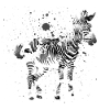 zebra