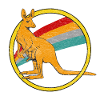 Kangourou Australie Kangourou Marsupial Animaux