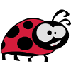 ladybug la coccinella