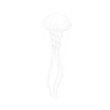 Jellyfish white