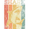 shark