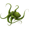 OCTOPUS mit Signatur