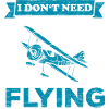 Flying pilot plane