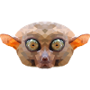 Tarsier