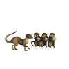 Lustige Erdmännchen
