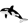 orca baleine cétacé dauphin