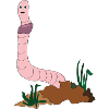 Earthworm