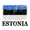 Estonia flag - Estonia flag