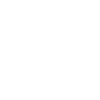 Airedale Terrier