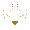leopard animal