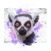 lemur