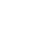 Boar Animal Gift