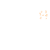 Evolution Bassoon