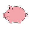 pig