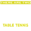 Table tennis table tennis
