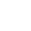 Painter Painter