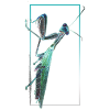 Praying Mantis Negative photography