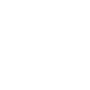 Evolution Computer Technician