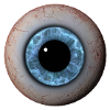 Eye Closeup Blue Iris