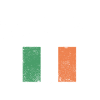 Emblème Varsity du drapeau irlandais