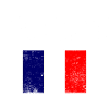 Tricolour France Flag Emblem