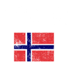 Norwegian Flag Emblem