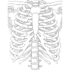 Skeleton Costume
