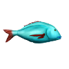 The fish