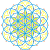 Flower 0f Life 3