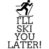 Skiing Skiing