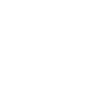 Binary Brain