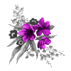 fleurs